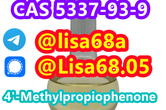 CAS 5337939 4Methylpropiophenone C10H12O