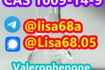 CAS 1009-14-9 Valerophenone C11H14O divers