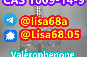 CAS 1009149 Valerophenone C11H14O