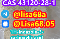 CAS 43120-28-1 1H-indazole-3-carboxylic acid methyl ester C9H8N2O2 mediacongo