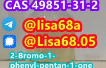 CAS 49851-31-2 2-Bromo-1-phenyl-pentan-1-one C11H13BrO mediacongo