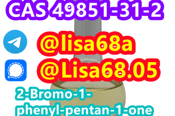 CAS 49851312 2Bromo1phenylpentan1one C11H13BrO