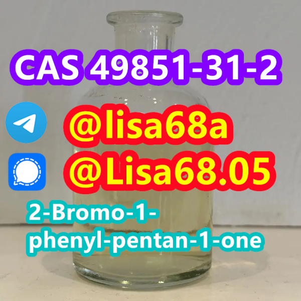 CAS 49851312 2Bromo1phenylpentan1one C11H13BrO