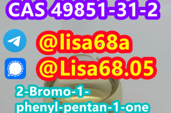 CAS 49851312 2Bromo1phenylpentan1one C11H13BrO