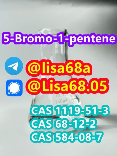 CAS 1119513 5Bromo1pentene C5H9Br