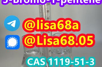 CAS 1119513 5Bromo1pentene C5H9Br
