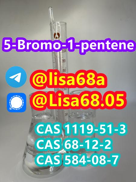 CAS 1119513 5Bromo1pentene C5H9Br