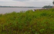 Plusieurs terrains à vendre au bord du fleuve à mbudi 18msur20 à 80000 dollars à discuter légèrement  mediacongo