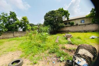 Parcelle  vendre  UPN avec des maisons  modifier ou  dtruire 23msur30 120000 dollars  discuter possibilit de morceller en 3 10msur23 40000 dollars  discuter 