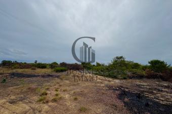 VENTE DUNE CONCESSION DE  74 HECTARES OU 740.000 M AU BORD DE LA MER.