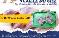 Oeufs de cailles, cailles,canards et lapins mediacongo