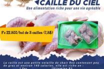 Oeufs de cailles, cailles,canards et lapins vivres_frais_et_alimentation