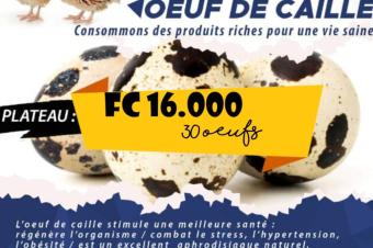 Oeufs de cailles caillescanards et lapins