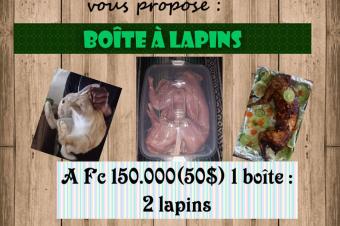 Oeufs de cailles caillescanards et lapins