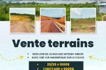 Découpage des terrains  immobilier_vente_location