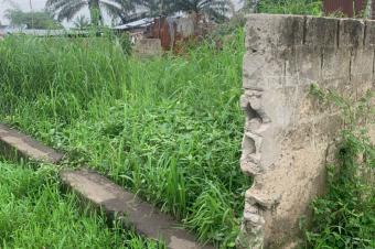 Parcelle  vendre avec une maison inachev situ  MASINA petroCongo