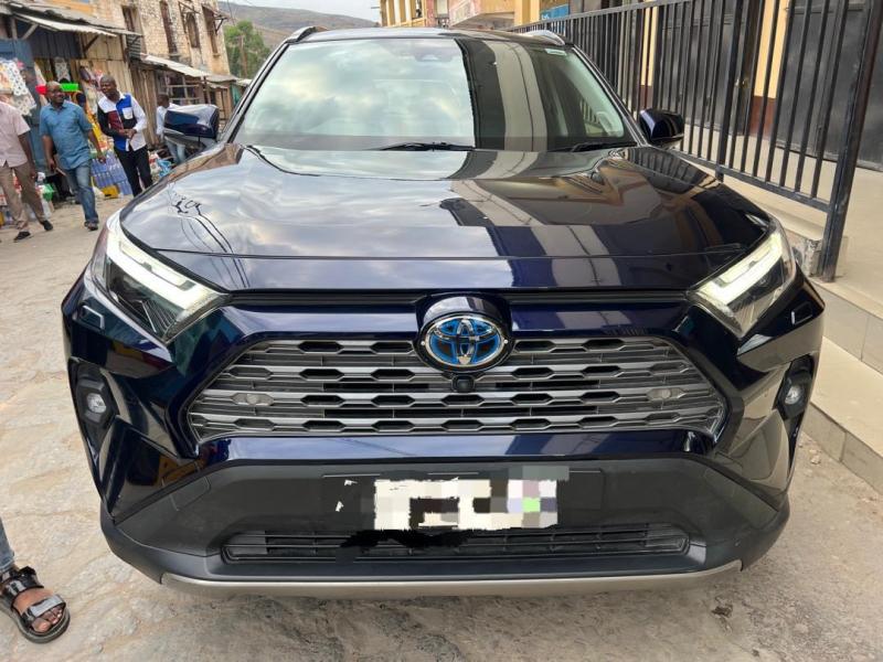 Toyota new Rav 