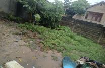 Vente d'un terrain vide à Ngaliema Binza Delvaux vers Laloux mediacongo