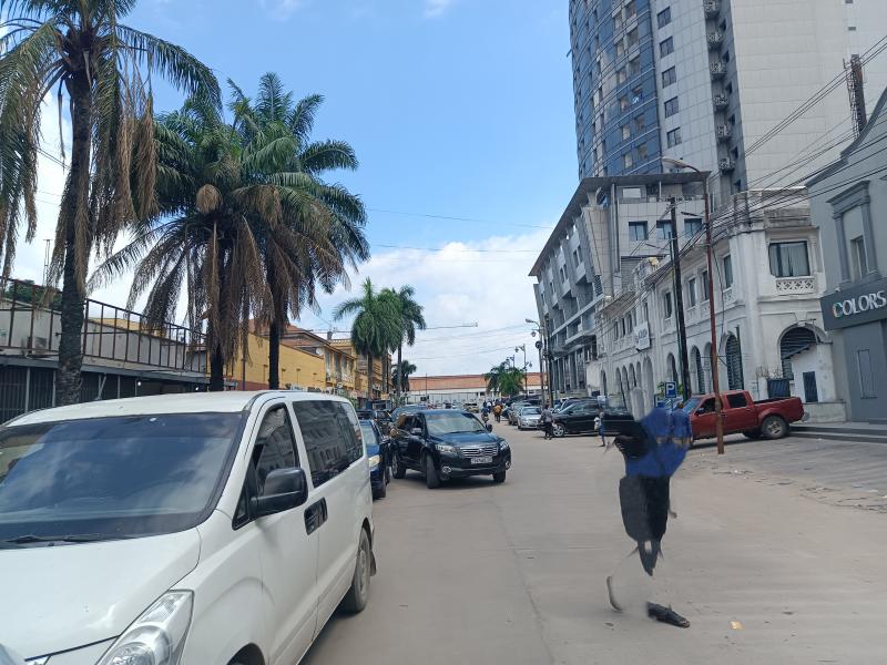 GS13IMMO SARL met  votre disposition la vente de cet immeuble R2 CGombe zone A. Rf Immeuble C.T.C. Dimension  825M. Prix initial de vente 1.500.000  discuter.  vous.