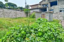 Vente d'un terrain vide à Binza pigeon C/Ngaliema très bon emplacement  immobilier_vente_location