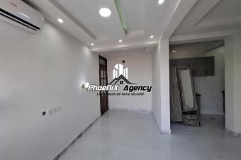 Location  Appartement dans la commune de Ngaliema vers Okapi 