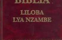 Si la Bible contient un certain nombre de livres, groupés en deux testaments, une unité profonde lie tous ces textes,car ils sont la Parole de Dieu. Depuis la Genèse,Dieu se fait  mediacongo