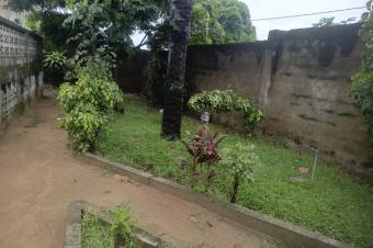 Un terrain vide en vente  Mont Ngafula 