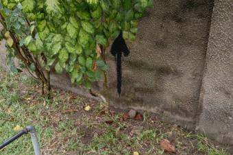 Un terrain vide en vente  Mont Ngafula 