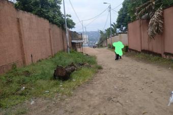 Un terrain vide en vente  Mont Ngafula 