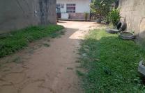TERRAIN - JAMAIQUE mediacongo