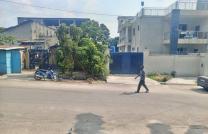 Vente parcelle sur macadam dans la Commune de Limete 11 ème rue résidentiel mediacongo