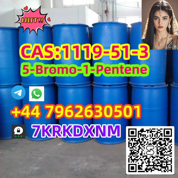 Wholesale Price 5bromo1pentene CAS 1119513 Large Stock