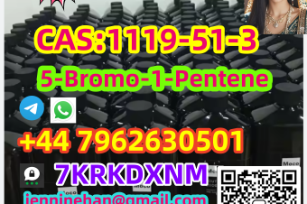 Wholesale Price 5bromo1pentene CAS 1119513 Large Stock