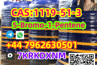 Wholesale Price 5bromo1pentene CAS 1119513 Large Stock