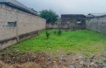 Vente parcelle terrain situé au Quartier Nganda sese dans la Commune de la N'SELE  mediacongo