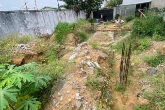 TERRAIN  VENDRE  JOLI PARC SUR NGALIEMA