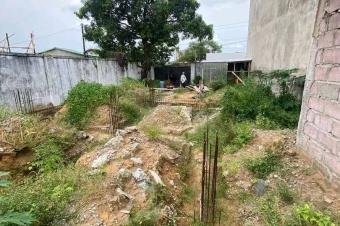TERRAIN  VENDRE  JOLI PARC SUR NGALIEMA