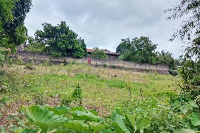 immobilier_vente_location Mme Mimi  