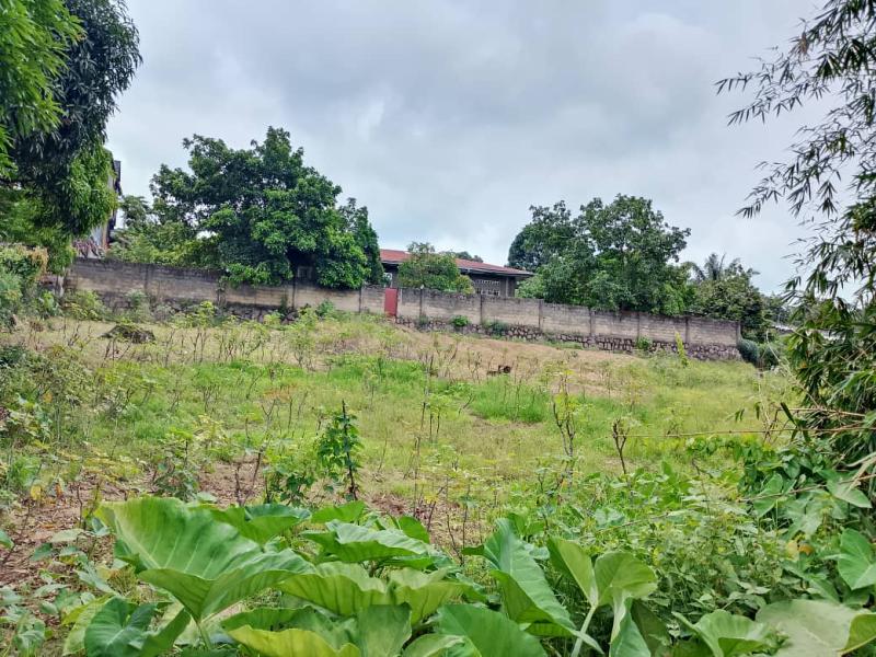 Terrains de 9msur19  vendre  UPN 17000 dollars trs accessible opportunit de devenir propritaire de terre 
