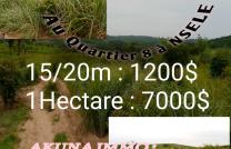 Ventes des parcelles  mediacongo