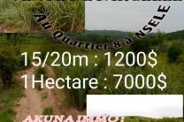 Ventes des parcelles  immobilier_vente_location