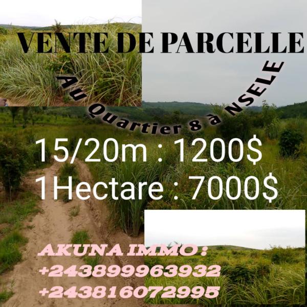 Ventes des parcelles 