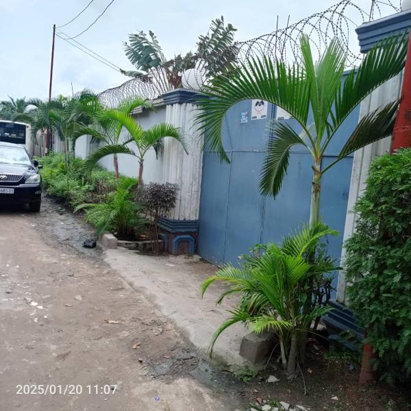 Parcelle  vendre  15m30m Avec une grande maison basse de 4chambre 3 salle de bain cuisine vaste magasin grand salon vaste   350.000  dbattre   Ngaliema brikin rf alimentation 