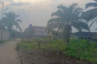 Terrain  vendre CNsele Qnganda sese 