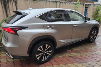 Lexus NX300h 2021