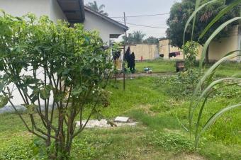 4 Terrains de 300 mtre carr  vendre  pigeon soit 15msur20  170000 dollars  discuter  possibilit de vendre toute la parcelle  1000000 dollars  discuter 40msur45