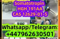 Grade CAS 12629-01-5 GROWTH HORMONE Somatotropin HGH 191AA - 10 GEL mediacongo