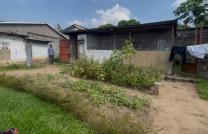 Terrain à vendre à Ngaliema binza pigeon  mediacongo