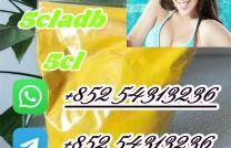 Hot Selling Raw Material 5cl/5cl Adb +852 54313236 mediacongo