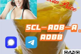 Hot Selling Raw Material 5cl5cl Adb 852 54313236